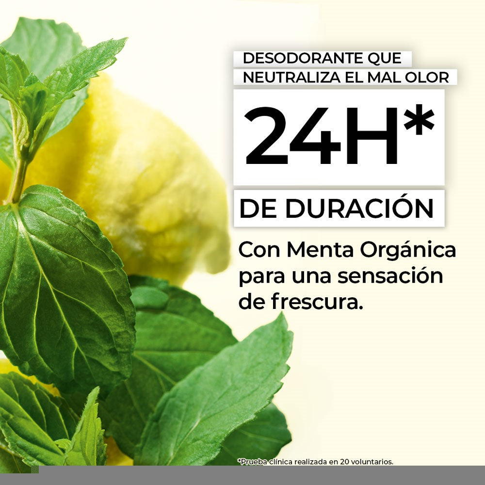 Desodorante Roll On Cítricos y Menta Yves Rocher