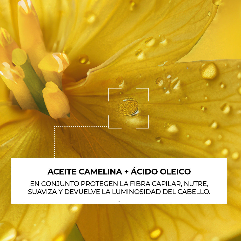Aceite Capilar Ultra Nutritivo Yves Rocher