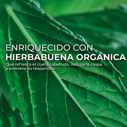 Shampoo para Caspa Yves Rocher